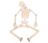 Gogogmee DIY Small Human Skeleton Model Educational Skeleton Learning Interactive Science Teaching Aid for Students Enhancing Visual Comprehension and Problem-solving Skills