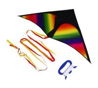 Gogogmee Easy to Fly Triangle Rainbow Kite with Long Tail for Outdoor Fun Colorful Single Line Flying Gift for Beginners and Family Activities