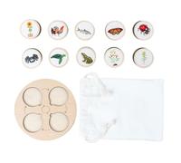 Gogogmee Educational Animal Growth Cycle Figures with Life Cycle Board Interactive Biological Model for Early Learning Creative Development Tool Gift for Boys