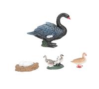 Gogogmee Educational Cartoon Swan Life Cycle for Realistic Ocean Animal Figurines Safe Premium Plastic Early Learning Aid for Biological Cognition and Growth Cycle Understanding Miniature