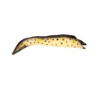 Gogogmee Eel Model Sea Animal Model Lifelike Sea Creature Lifelike Sea Animal Electric Eel Figures Artificial Eel Model Eel Toy Eel Plush Stuffed Toy Ocean Animals Toys Plastic