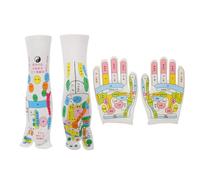 Gogogmee Elastic Acupressure Gloves and Socks for Seniors Breathable Reflexology Massage Tools with Printed Pressure Points Comfortable for Hand and Foot Therapy Circulation Relief