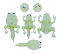 Gogogmee Frog Life Cycle Toys Science Experiment Kit Tadpole to Frog Educational Learning Material for Boys and Girls Preschool Educational Toys
