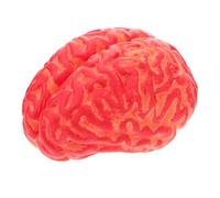 Gogogmee Halloween Simulation Blood Brain Prank Tool Realistic Artificial Blood Brain for Party Festival Decor Creepy Halloween for Entertainment and Haunted House Fun
