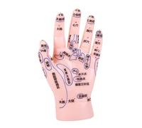 Gogogmee Hand Acupuncture Training Model with Clearly Labeled Acupoints PVC Hand Zone Simulation for Reflexology and Massage Education Suitable for Tcm Teaching and Medical Institutions