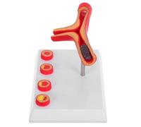 Gogogmee Human Blood Vessel Model with Vascular Blockage Plastic Medical Teaching Supply for Cardiovascular Anatomy Education and Health Learning Tool