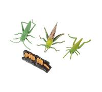 Gogogmee Miniature Growth Cycle Model for Early Education Environmental Protection Smooth Surface Easy to Clean Enhances Knowledge and Cognitive Skills