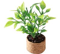 Gogogmee Miniature Potted Plant Model Artificial Tree for Plant Ornament for Dollhouse Decor Safe Material for Pretend Play and Micro Landscape