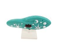 Gogogmee Paramecium Biology Model with Stand for Classroom Teaching Cell Structure with Detailed Cilia Realistic Single-celled Organism for Middle School Science Experiments and Laboratory