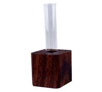 Gogogmee Plant Propagation Jars Test Tube for Flower Arranging Chic Glass and Wooden Stand