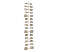 Gogogmee Press on Nails 30pcs Set, Plastic False Nails with Gradient Five-Petal Flower Design, Cat Eye Effect, Sweet White Floral Manicure for Women and Teens