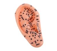 Gogogmee Soft PVC Human Ear in Chinese Medicine Schools Acupuncture Model Multifunctional Teaching Tool with Detailed Acupuncture Points for Educational Purposes for Massage