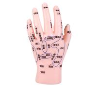 Gogogmee Traditional Chinese Medicine Hand Model PVC Reflexology Display with Labeled Acupoints for Acupuncture Practice Medical Training and Massage Education