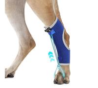 GoGoPaw Dog Knuckling Brace Wrap for Hyperflexion of Phalanges Cause by Sciatic Nerve Damage & Carpal Flexural Deformity - Dual Locking Straps for Safe Adjustable Toe Lift Support (Blue, Large)