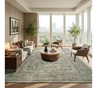 Goidea Washable Rug 9x12, Sage Green Area Rugs Non Slip, Indoor Low Pile Carpet with Rubber Backing for Living Room Kitchen Bathroom Entryway Office Bedroom