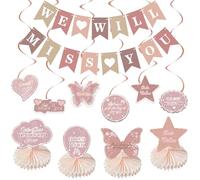 Going Away Party Decorations, Blush Pink We Will Miss You Decorations Banner, Farewell Decorations Party Supplies Retirement Decor, Hanging Swirls