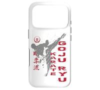 Goju Ryu Karate Case for iPhone 17 Pro