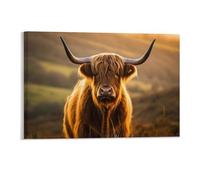 Gokays Highland Cow Canvas Framed Wall Art, Shaggy Cow in A Field at Sunset Modern Posters Fall Sunset Wall Decoration for Office Nursery School, Thanksgiving Gifts for Family Friends, 28x43CM