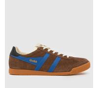 Gola Elan Trainers in Brown & Navy UK 9
