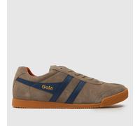 Gola Harrier Trainers in Brown UK 11 (EU 45)