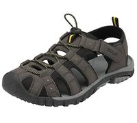 Gola Men's AMP648 Hiking Sandals, Brown (Dark Brown/Black/Sun TB), 15 UK 49 EU