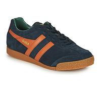 Gola Harrier
