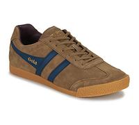 Gola Shoes (Trainers) HARRIER in Brown 10