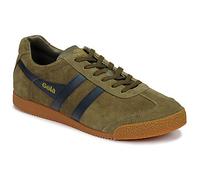 Gola Harrier