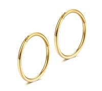 Gold 18g 8mm Nose Rings Hoop G23 Titanium Hinged Segment Septum Rings Seamless Clicker Sleeper Rook Daith Tragus Helix Cartilage Piercing Hoop Earrings