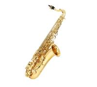 Gold Alto Saxophone C Key Beginners Comes with Portable Case Reed Cleaning Kit Gloves Neck Strap Stand and Accessories Beginner Saxophone
