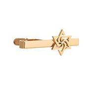 Gold and Silver Plating Chi-Rho Cross Fleur De Lis Hexagram Various Patterns for Men Tie Clip Father Jewelry, moderation, stainless steel, No Gemstone