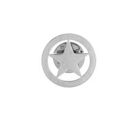 Gold and Silver Plating Stainless Steel Five star and Moon Pin and Brooch for Women's and Men's Jewelry, normal, Stainless Steel, gem na