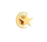 Gold and Silver Plating Stainless Steel Five star and Moon Pin and Brooch for Women's and Men's Jewelry, normal, Stainless Steel, gem na