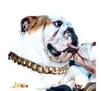 Gold Chain Dog Collar - 7/8 inch Wide Metal Cuban Link Dog Necklace with Leather Belt, Lightweight Protect Puppy's Neck, Cute Fashion Dog Jewelry Accessories 16 inches