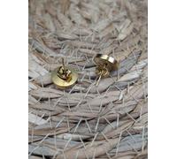 Gold Coloured Abrosexual Flag Stud Earrings