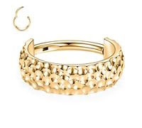 Gold Conch Helix Septum Piercing Jewelry Nose Rings Hoops Conch Cartilage Lobe Earrings Huggie Earrings Small Hoop Earrings Cartilage Hoop Earring 16G 10mm 316L Surgical Steel Hinged Segment Ring