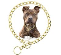 Gold Dog Chain Collar, Heavy Duty Dog Necklace, for Training, Chew Proof Martingale Puppy Dog Chains for XXS XS Small Medium Large Big Dogs