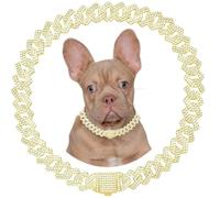 Gold Dog Chain Collars Bling Diamond Cuban Link Puppy Collar With Secure Buckle Walking Metal Chain Necklace Crystal Jewelry Cat Collars for Small Medium Large Pet Dogs Boys Girls, 10 Inch