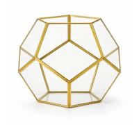 Gold Geometric Glass Terrarium - 18cm Decorative Dodecahedron Display for Succulents, Moss & Air Plants