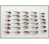Gold Head Trout Flies, 30 Named Goldhead Nymph, Mixed 10/12, For Fly Fishing