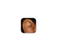 Gold Helix Earring for Women Hidden Helix Earring Flat Back Earrings Hypoallergenic Cartilage Earrings CZ Helix Piercing Jewelry, 2cm, Brass, No Gemstone