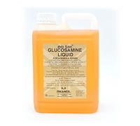 Gold Label Glucosamine Liquid - 2 Litres