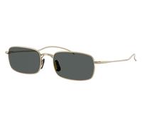 Gold/Midnight Express Polarised / 53