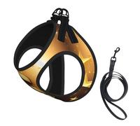 Gold Musical Note With Fallen Shiny Star Print Pet Leash Vest,Breathable Mesh Pet Harness, Reflective For Small Medium Dogs Safe Easy Walking