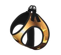 Gold Musical Note With Fallen Shiny Star Print Pet Leash Vest,Breathable Mesh Pet Harness, Reflective For Small Medium Dogs Safe Easy Walking