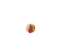 Gold net of Milk Chocolate novelty English Coins 100g 1 pack