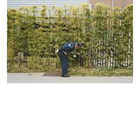 GOLD PANDA - GOOD LUCK AND DO YOUR BEST