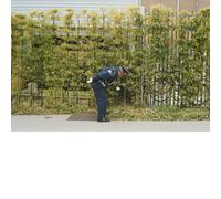 Gold Panda Good Luck and Do Your Best (Vinyl) (US IMPORT)