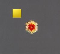 Gold Panda - Half Of Where You Live [Japan CD] YRCU-98002