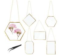 Gold Photo Frame Pressed Flower Frame Glass Hanging Frames for Pressed Flowers Double Sided Floating Glass Picture Framed with Chain Handmade Plant Specimen Artwork Picture Frames for Home Decoration
